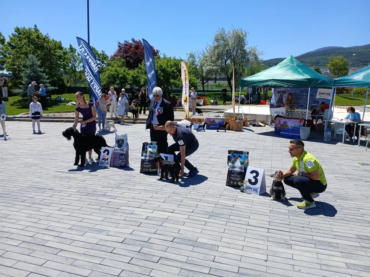 happy-dog-ring-mall-shnautseri-gallery-03