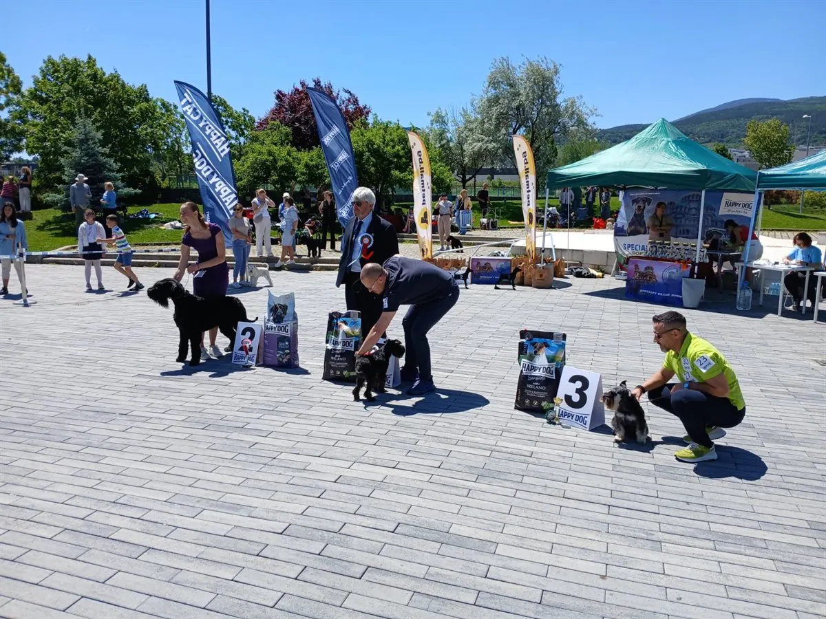 happy-dog-ring-mall-shnautseri-gallery-04