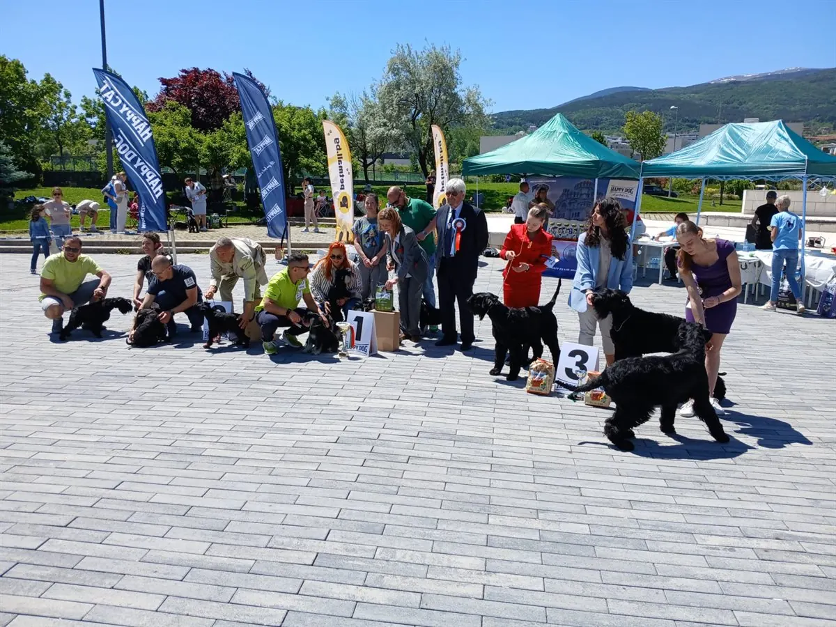 happy-dog-ring-mall-shnautseri-gallery-06