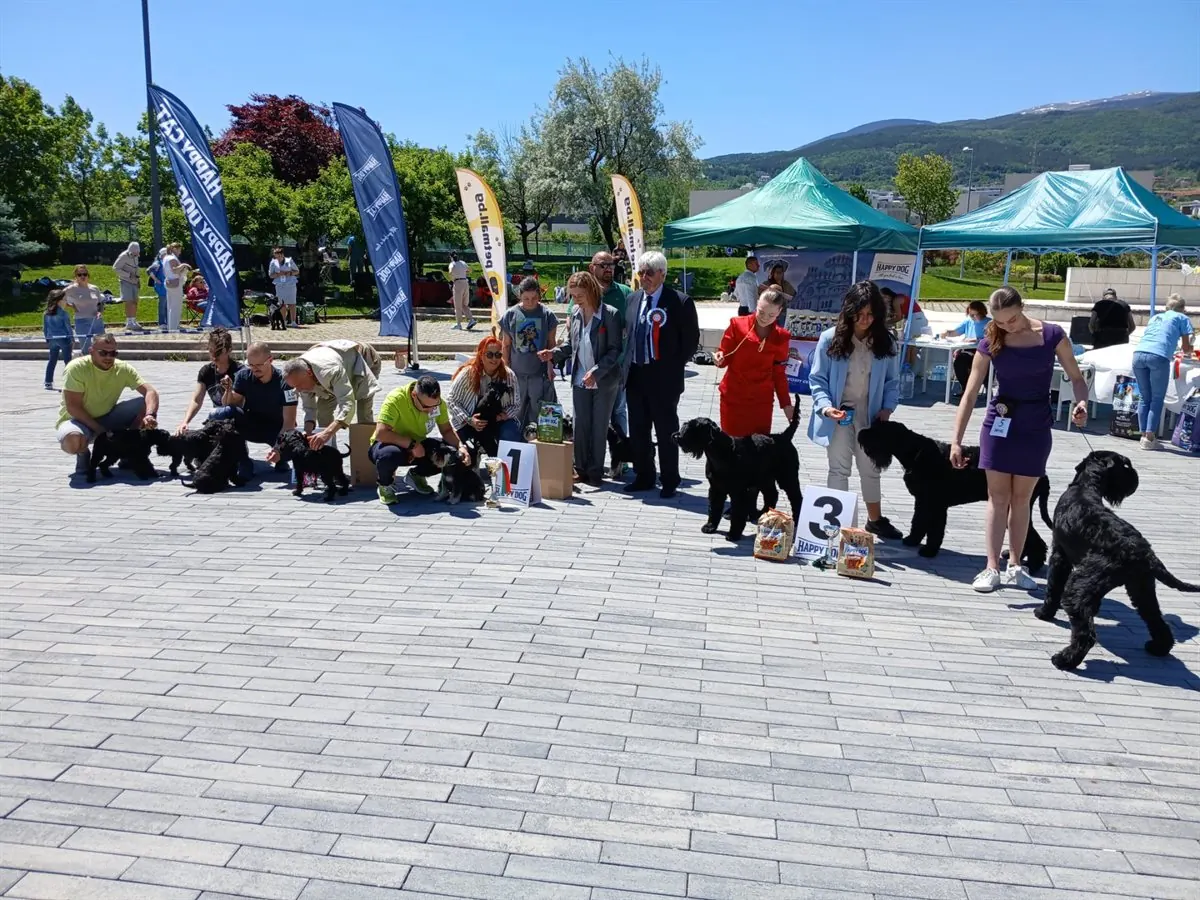 happy-dog-ring-mall-shnautseri-gallery-07