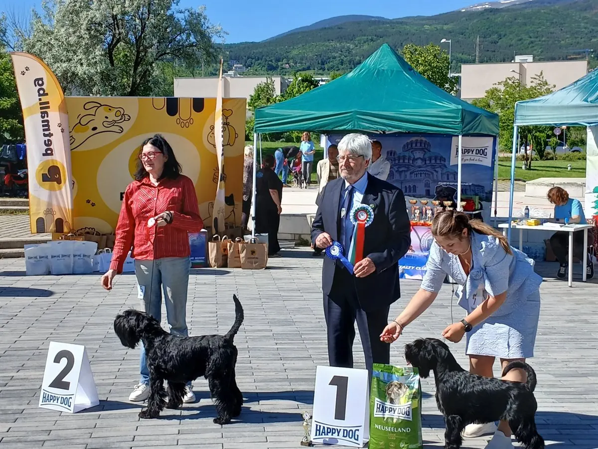 happy-dog-ring-mall-shnautseri-gallery-08