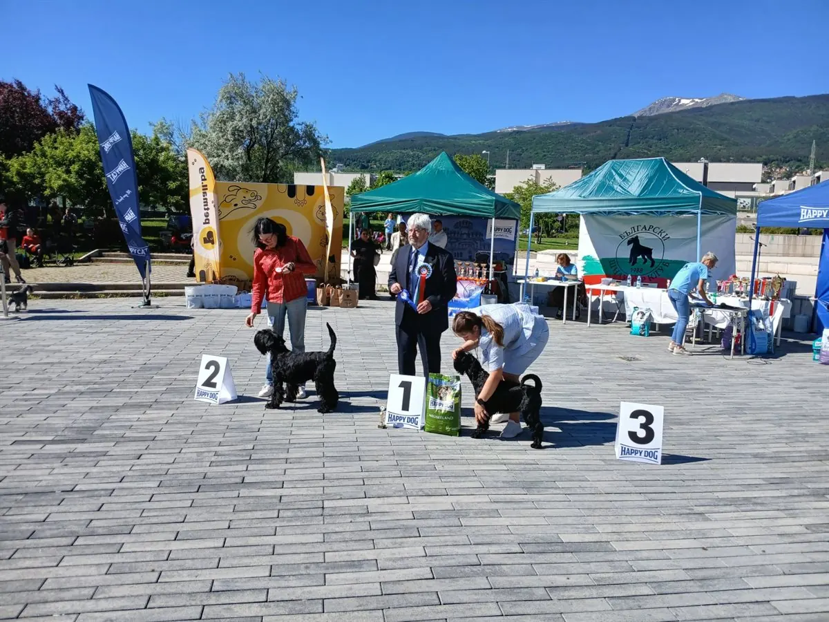 happy-dog-ring-mall-shnautseri-gallery-09