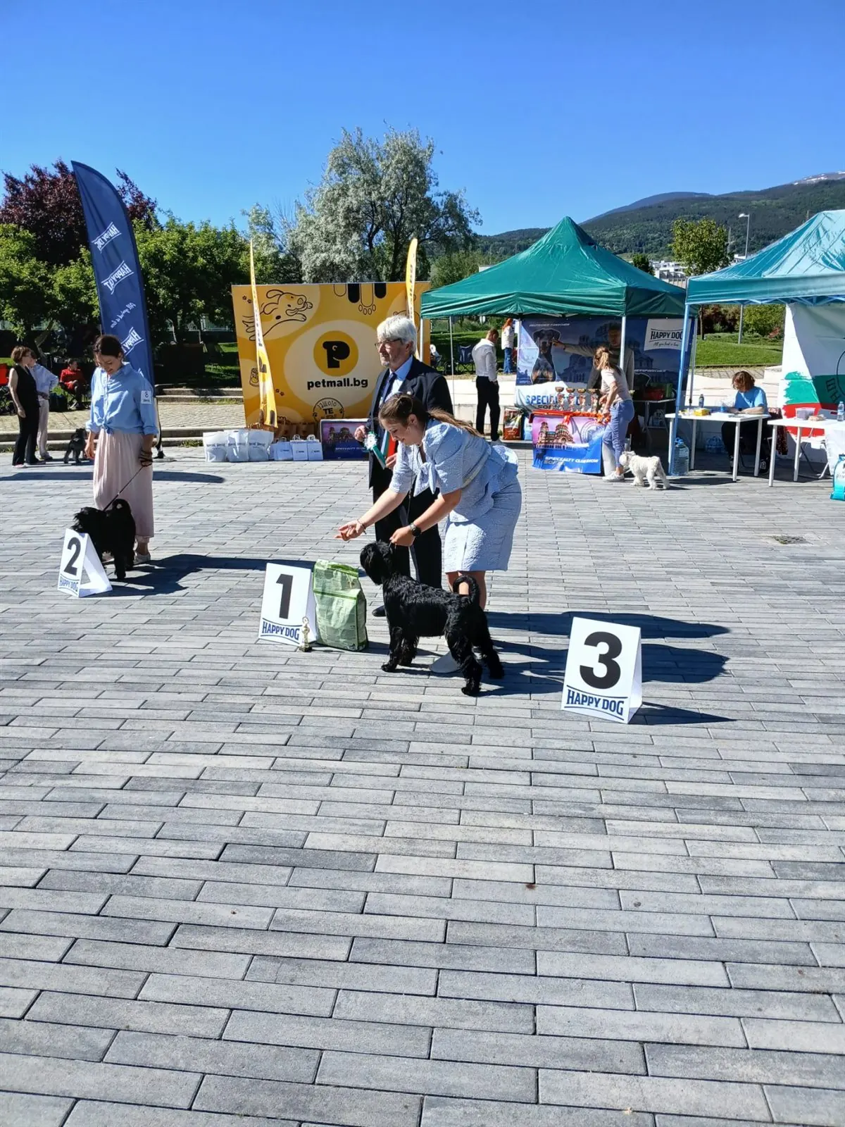 happy-dog-ring-mall-shnautseri-gallery-10