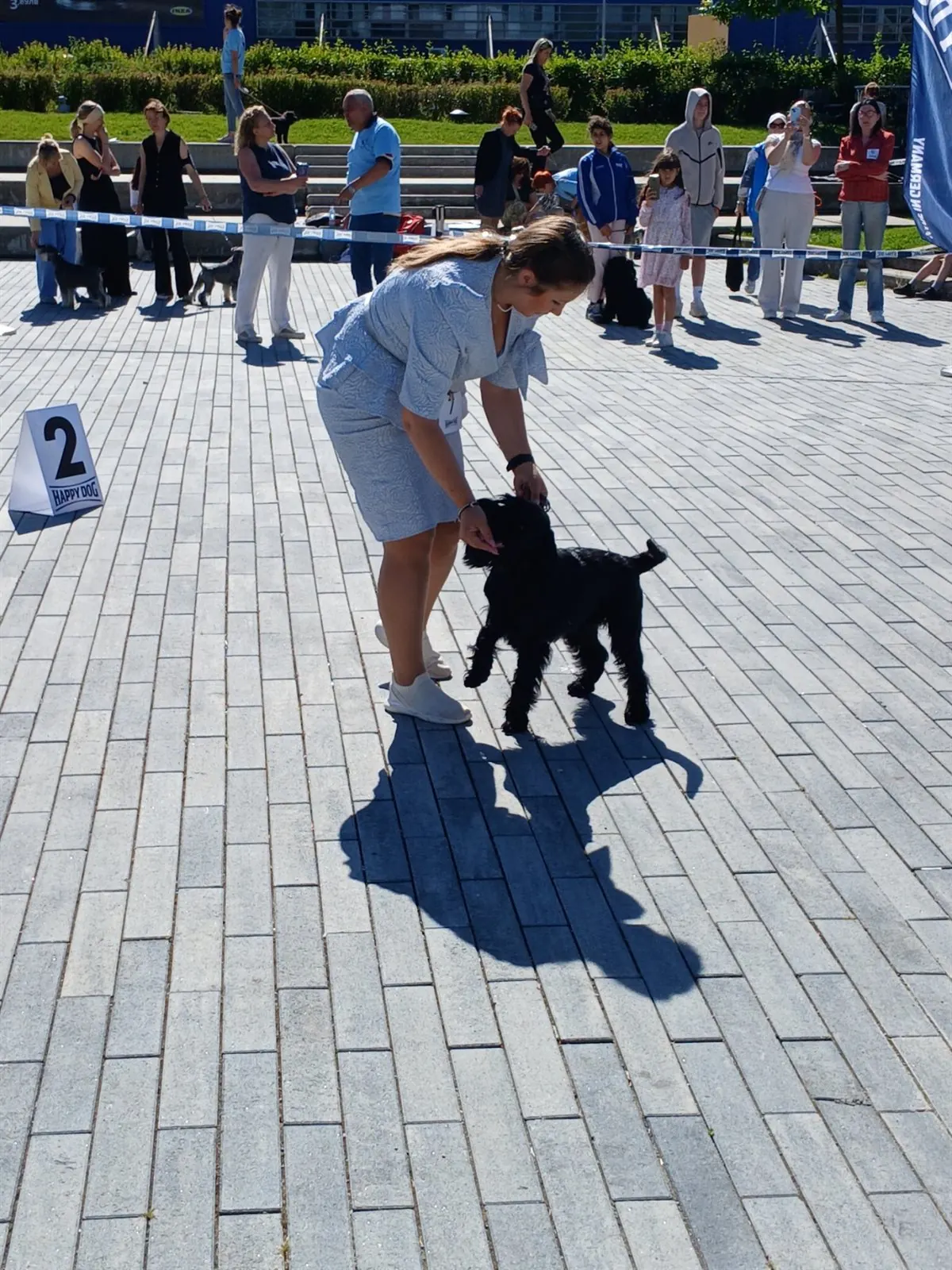happy-dog-ring-mall-shnautseri-gallery-11