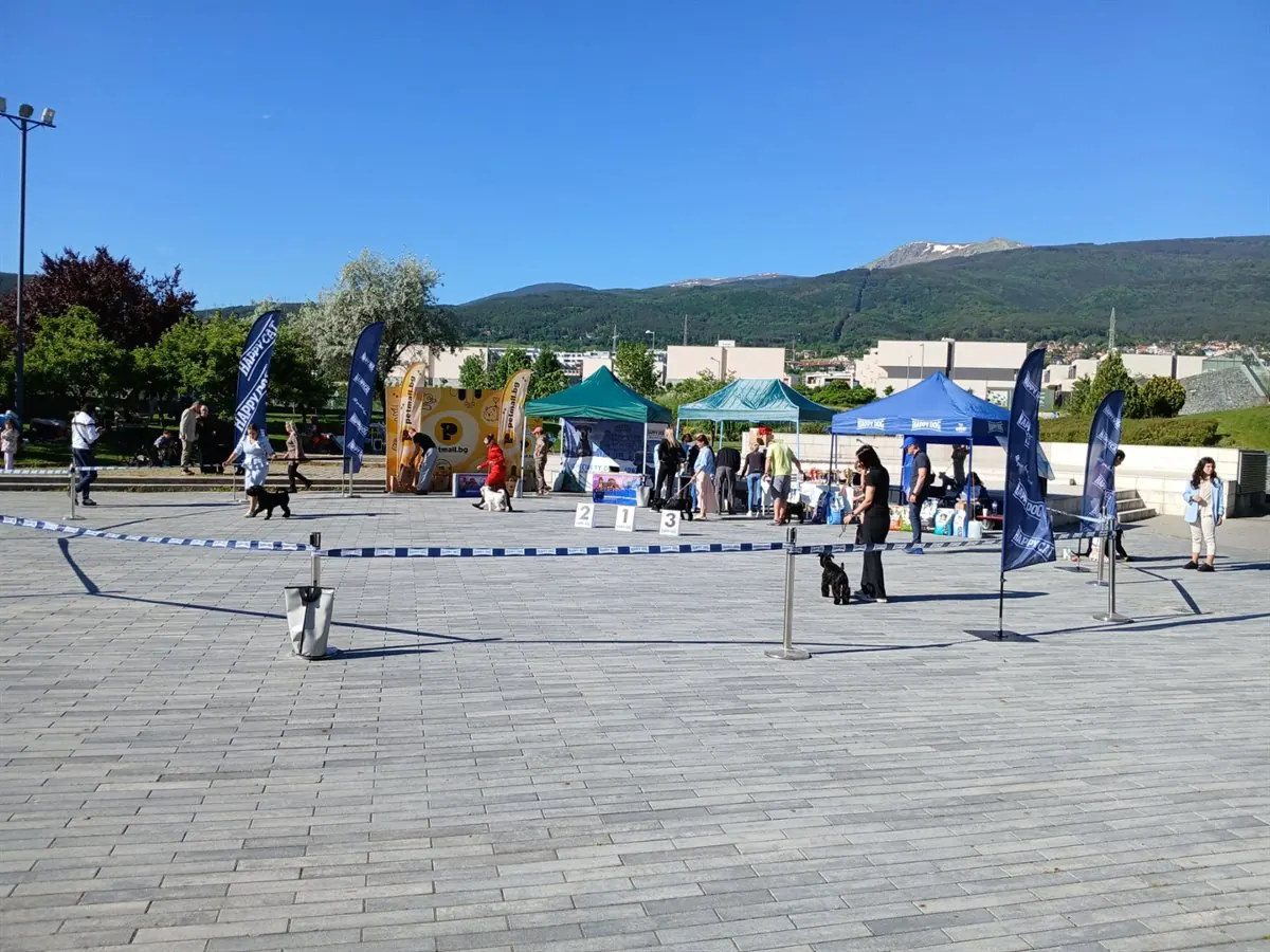 happy-dog-ring-mall-shnautseri-gallery-12