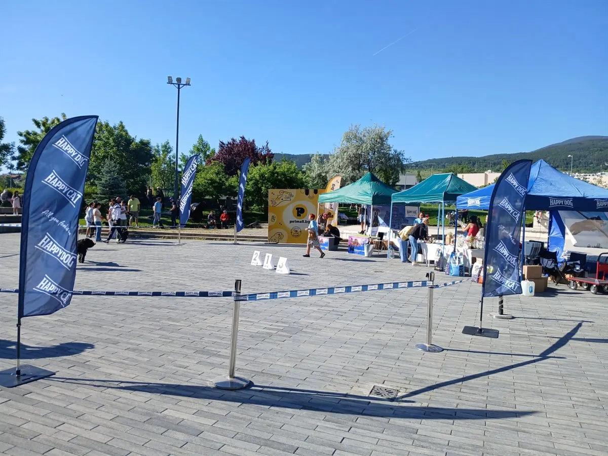 happy-dog-ring-mall-shnautseri-gallery-14