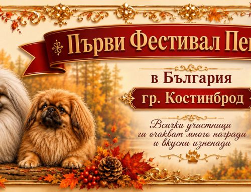 Първи Фестивал Пекинез